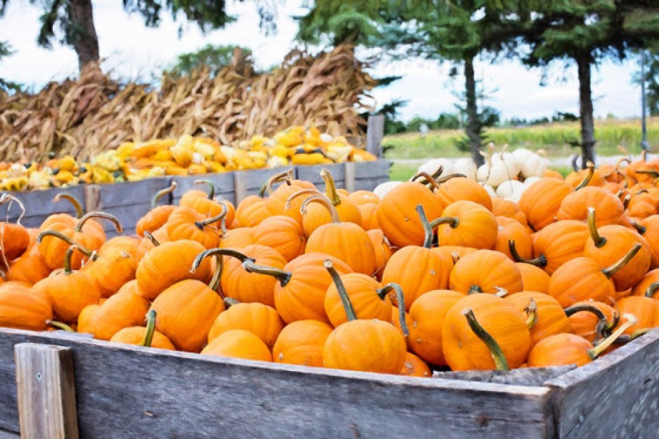 7 Ways to Stay Healthy & Energized this Fall